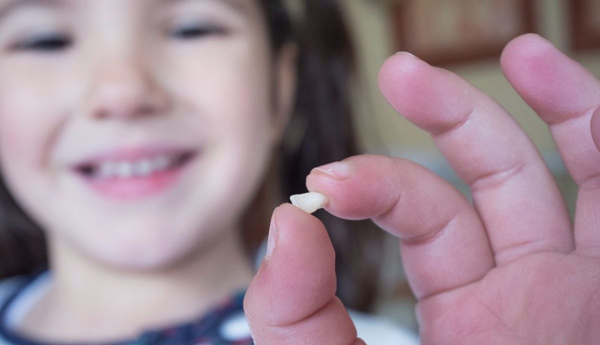 Dente De Leite Mole, O Que Fazer? Conquist Odontologia – KQSHG